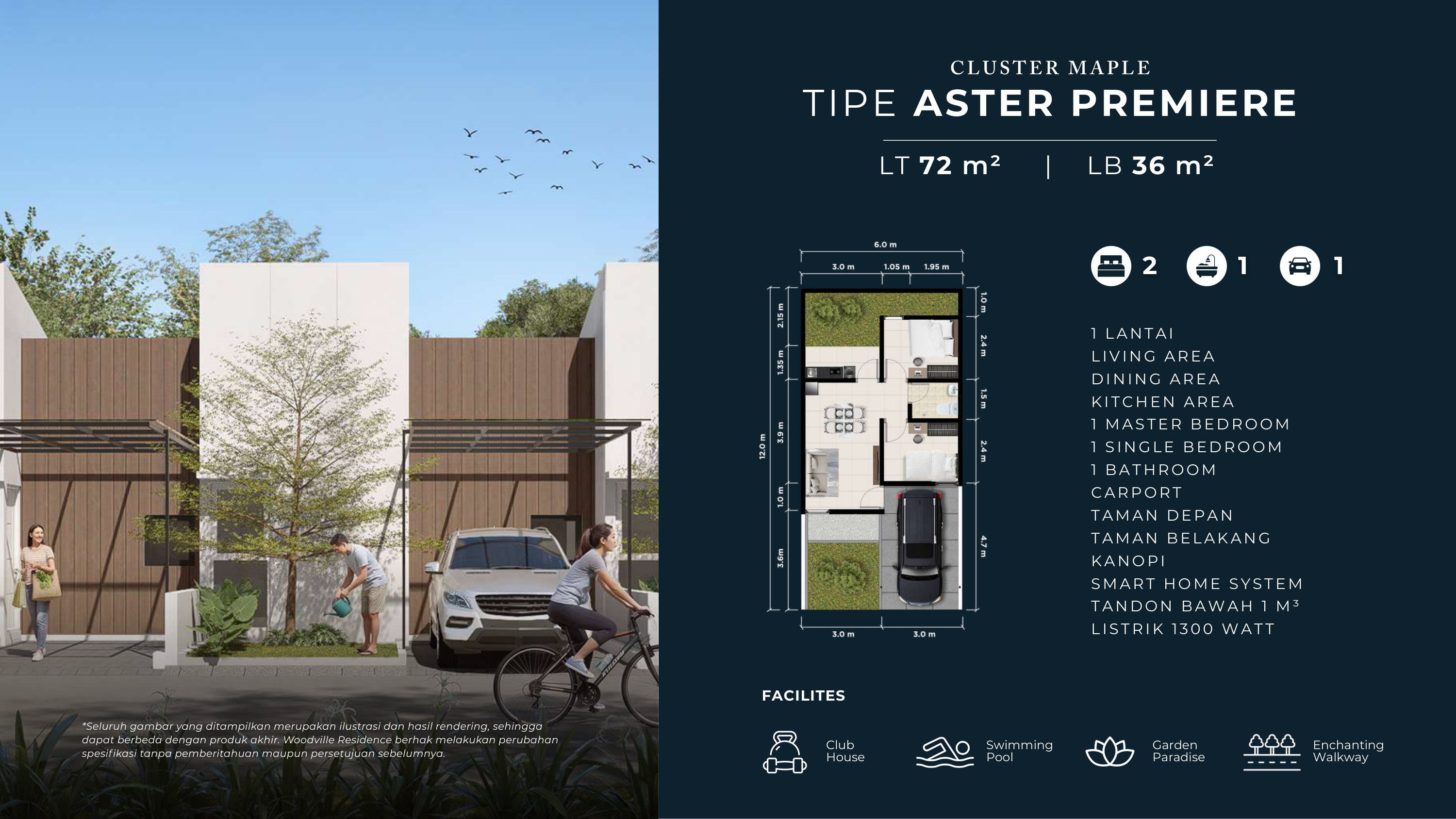 Woodville Tipe Aster